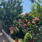 Casa Dorului * Limanu