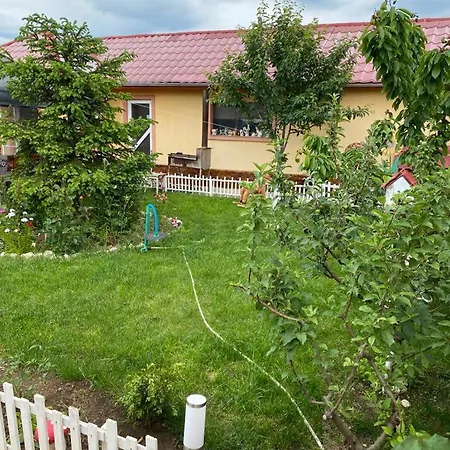 Casa Dorului Limanu
