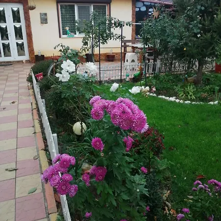 Holiday home Casa Dorului