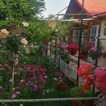 Holiday home Casa Dorului Limanu
