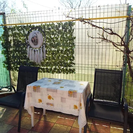 Casa Dorului