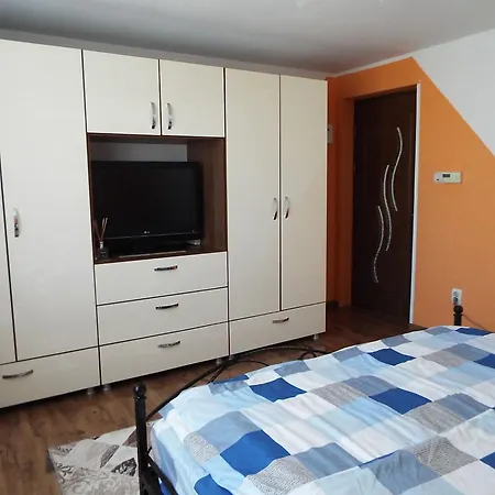 Casa Dorului Holiday home *