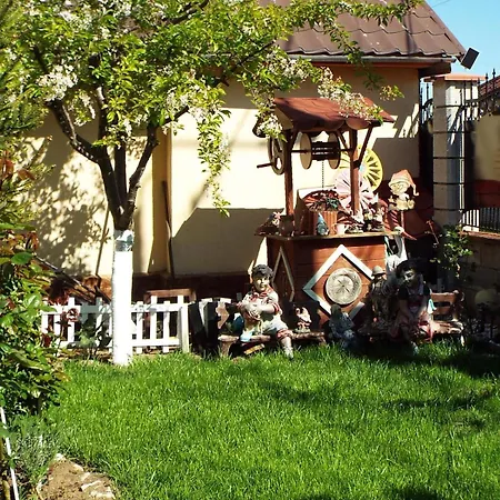 Holiday home Casa Dorului Limanu