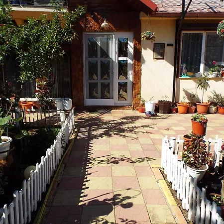 Casa Dorului *
