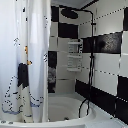 Casa Dorului 펜션 *