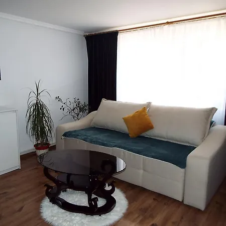 Casa Dorului 펜션 Limanu