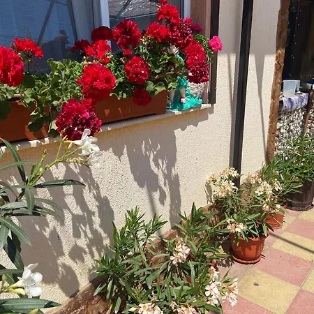 Casa Dorului בית נופש