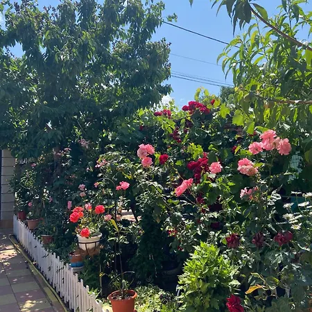 Casa Dorului * Limanu