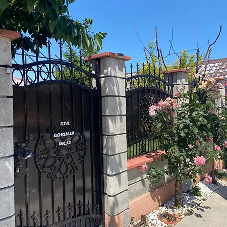 Casa Dorului Limanu