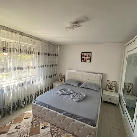 Casa Dorului 別荘